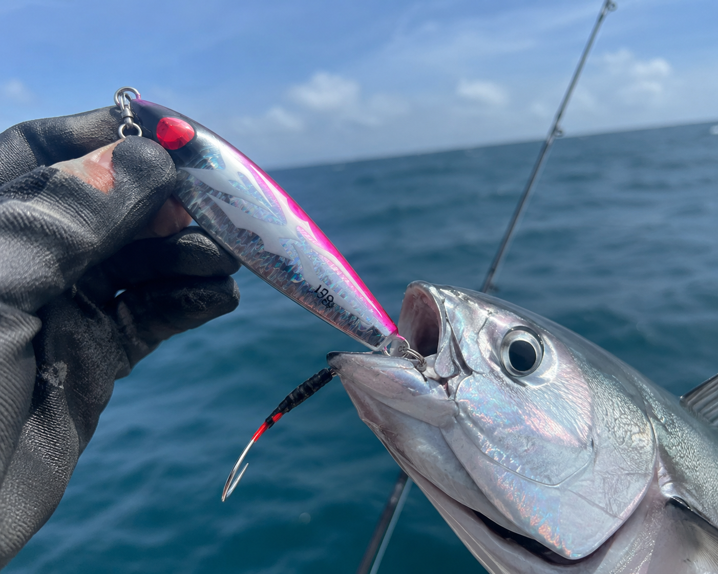 Jig Fishing Lure